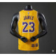 Los Angeles Lakers LeBron James #23